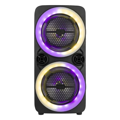 Woofer da 8 pollici con tweeter Altoparlanti ricaricabili da 100 W 12 V Altoparlanti Bluetooth portatili wireless con luce LED attraente